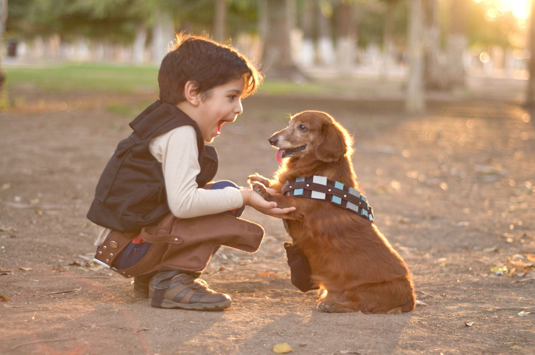 How Can Dogs Benefit Children with Autism?