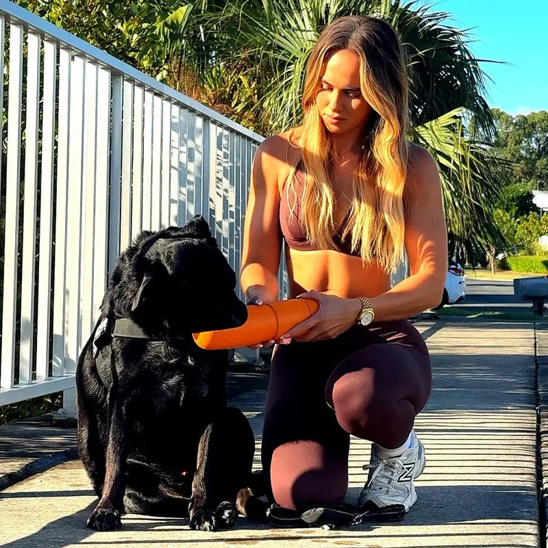 The Walkbuddy®