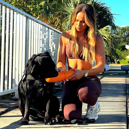 The Walkbuddy®