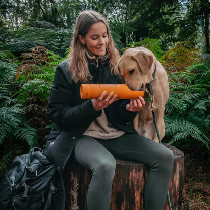 The Walkbuddy® Duo Bundle