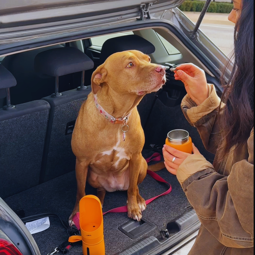The Walkbuddy® Duo Bundle