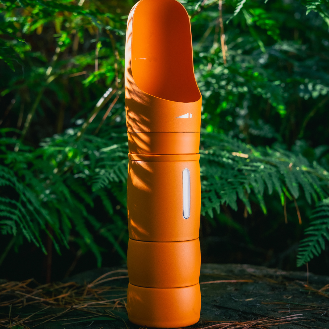 The Walkbuddy®