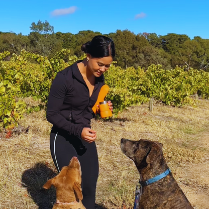 The Walkbuddy® Duo Bundle