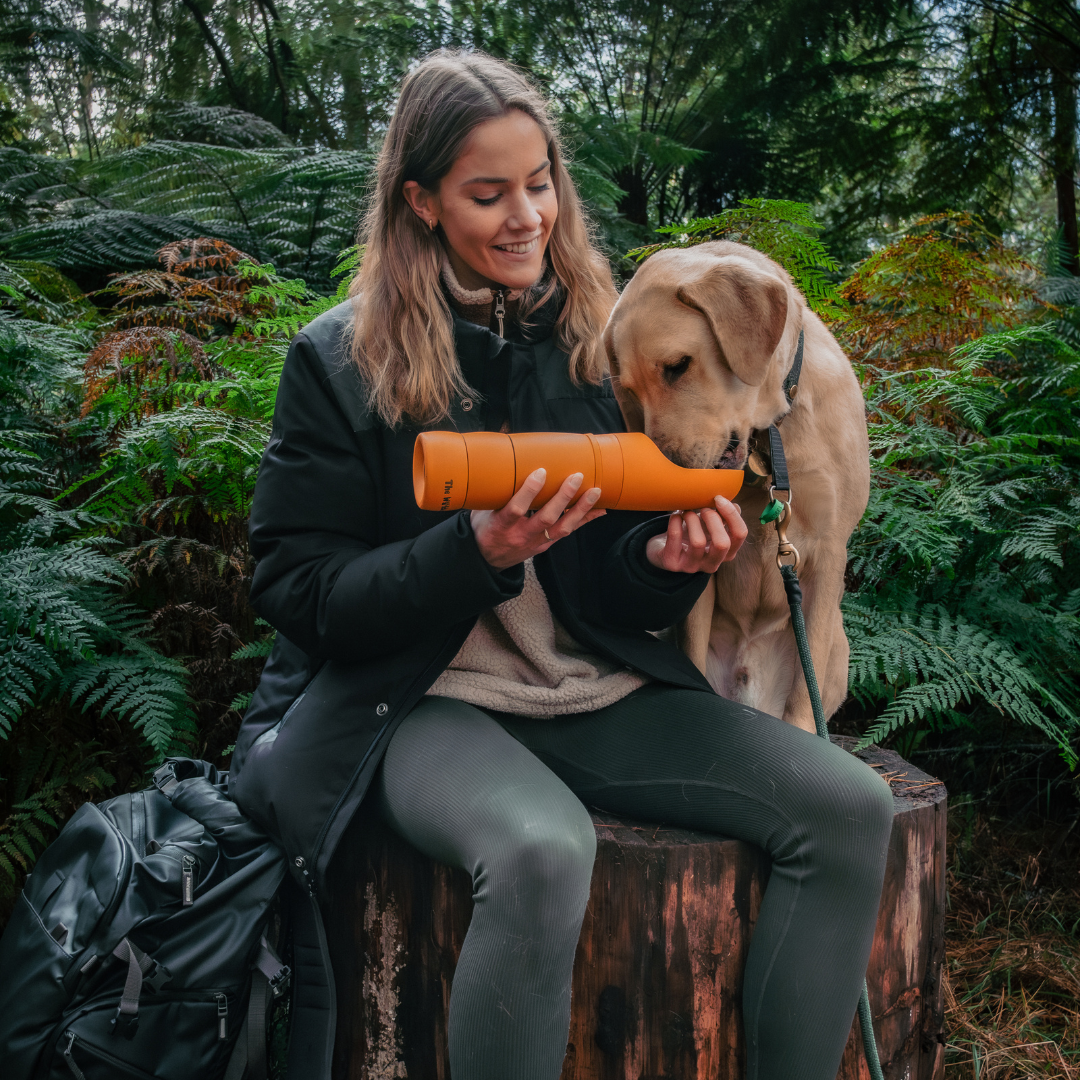 The Walkbuddy® Duo Bundle