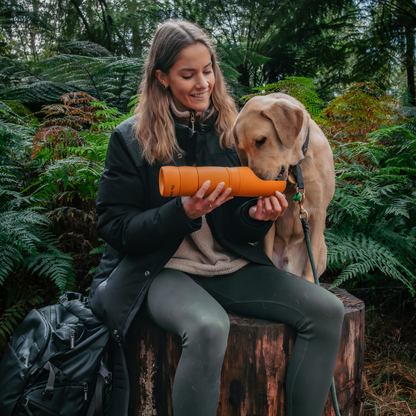 The Walkbuddy® Duo Bundle
